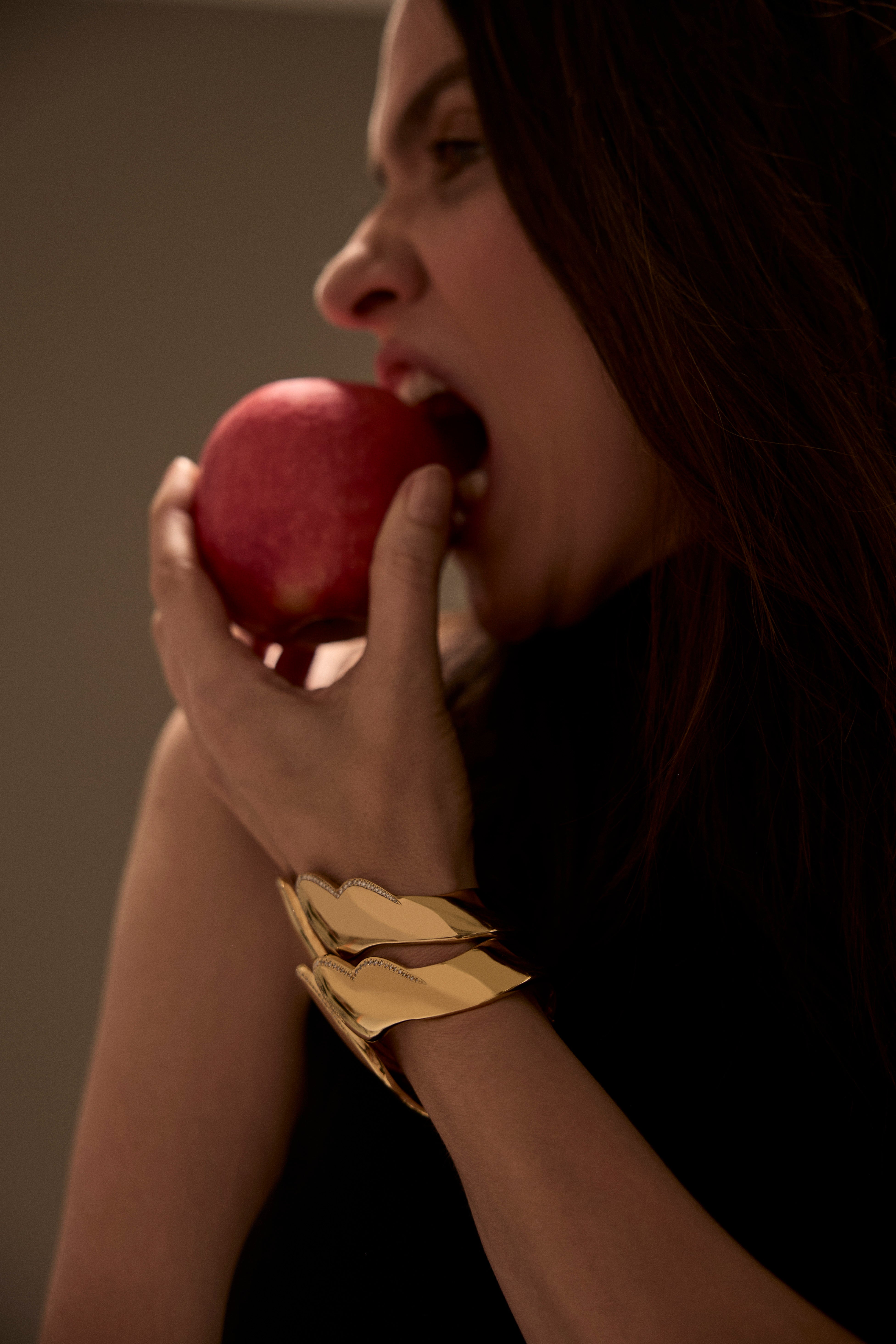 Alis Propriis Volat Moissanite Bracelet